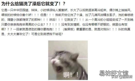 猫弓形虫吃什么驱虫药(猫弓形虫如何传染给人)