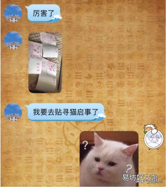 猫弓形虫吃什么驱虫药(猫弓形虫如何传染给人)