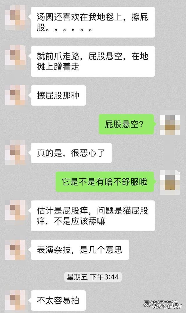 猫弓形虫吃什么驱虫药(猫弓形虫如何传染给人)