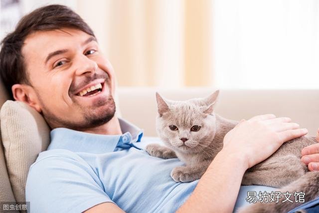 猫应激反应有哪些表现(猫应激反应怎么处理)