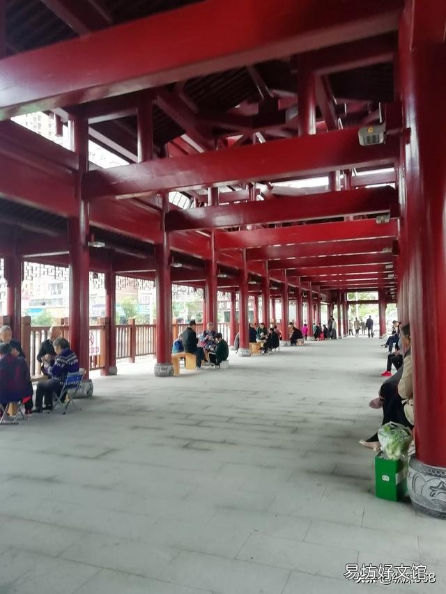申请退休报告怎么写？