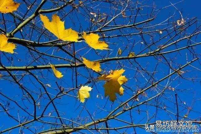 缴纳城乡居民医疗保险有什么好处?