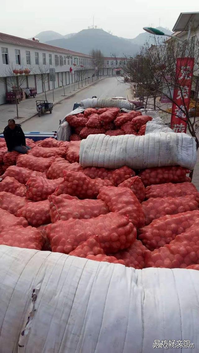 农民养老保险交多少合适?
