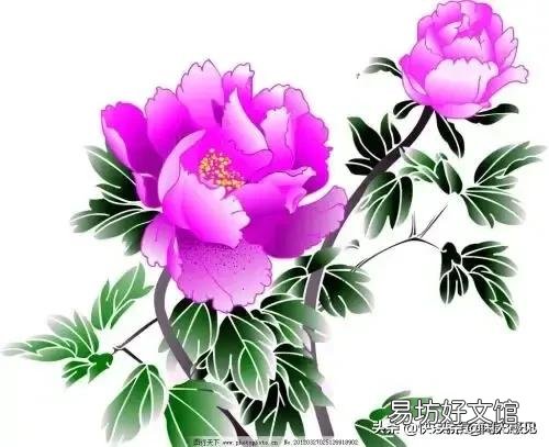 我现在手头上一共有50万退休金,我可以做哪些方面的投资收益率最高呢?