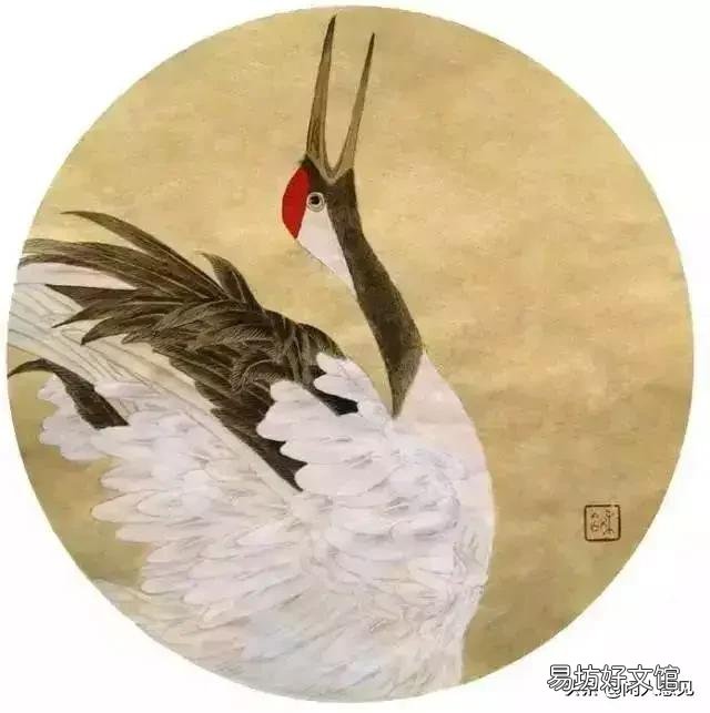 我现在手头上一共有50万退休金,我可以做哪些方面的投资收益率最高呢?