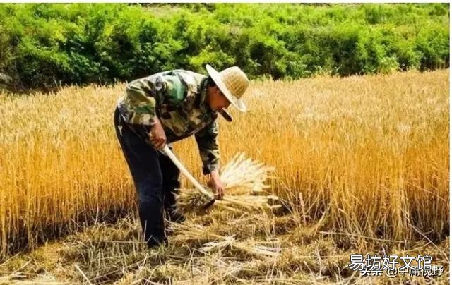 想存款,农商行安全吗?推荐吗?