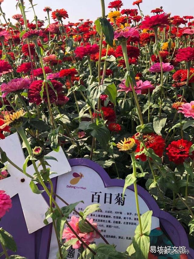 如今的社会,关于养老保险和医疗保险如何购买最合适?