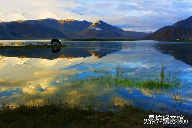 到了退休年龄,退休工资就够生活,退休后还想工作的人多吗?