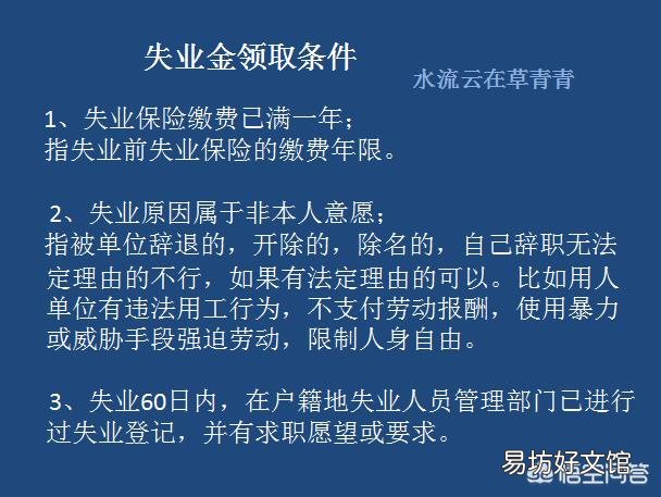 个人主动辞职可以领取失业金吗?