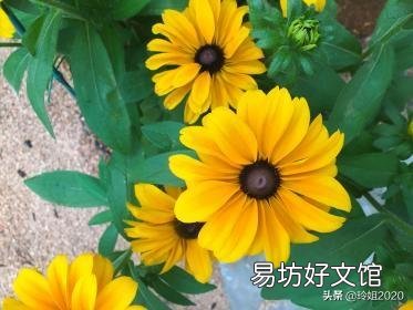 员工入职5年,公司最后两年缴社保,现员工自离,要求补偿前三年社保,可行吗?