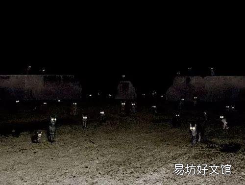 猫咪瞳孔变化与情绪(猫咪瞳孔为什么会变化)