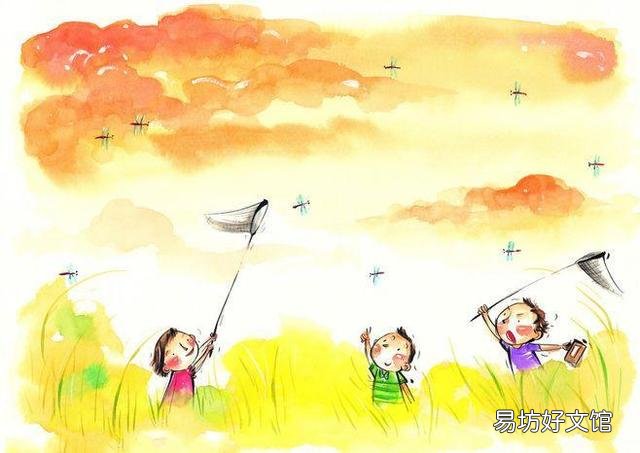 如何避免池塘的鱼被蜻蜓幼虫侵害?