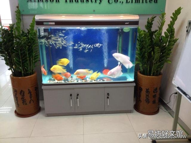 黄粉可以直接加入鱼缸吗?