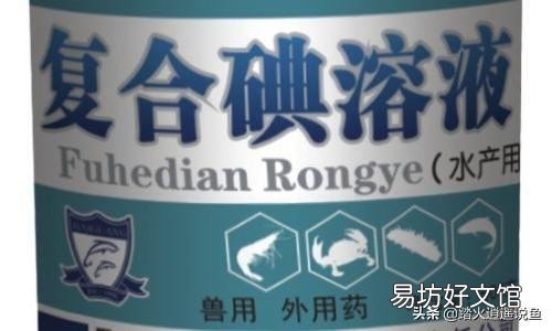 大神们都看看我家的金鱼怎么了?