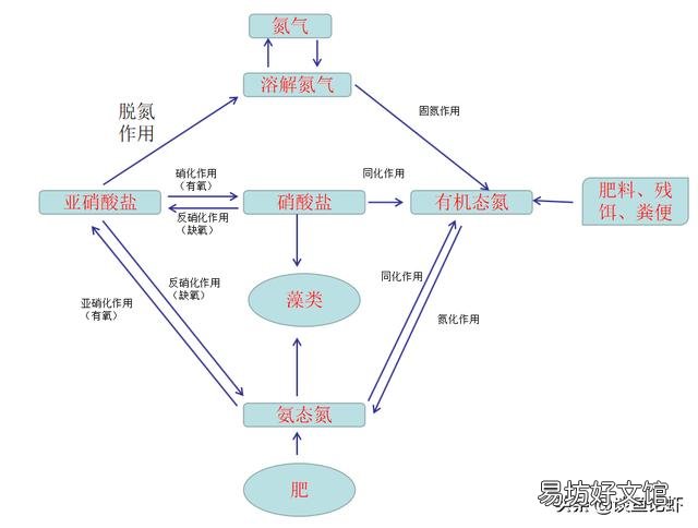 水产养殖中亚硝酸盐高了该如何处理？