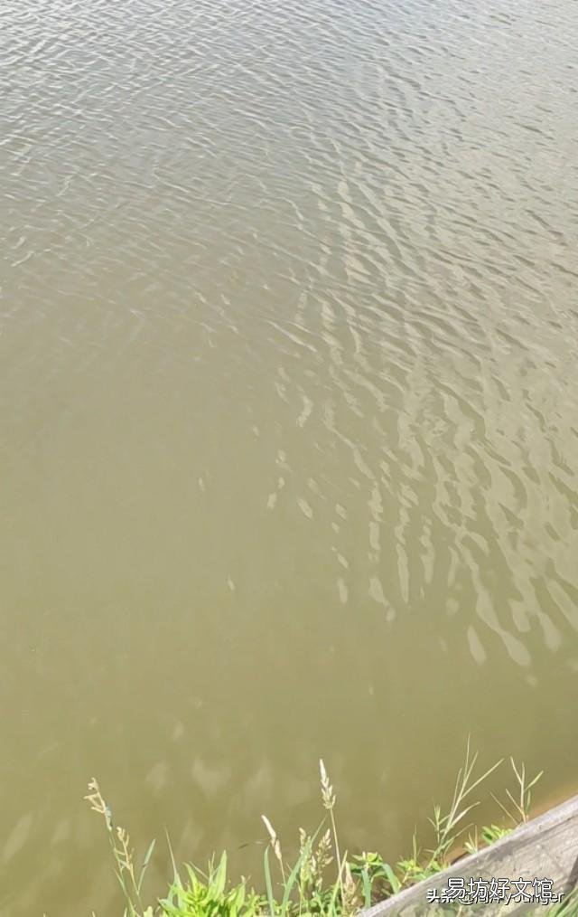 水产养殖中亚硝酸盐高了该如何处理？
