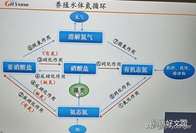水产养殖中亚硝酸盐高了该如何处理？
