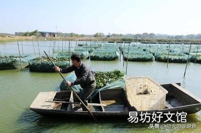 如何检测鱼塘水质氧气?