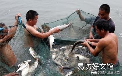 如何检测鱼塘水质氧气?