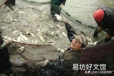 如何检测鱼塘水质氧气?