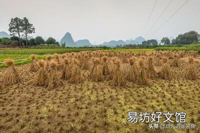 在农村怎么才能赚到钱?
