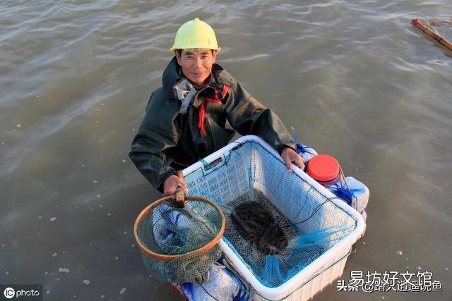 白对虾泥浊水怎样肥水?
