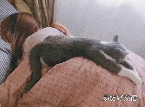 猫多大就不闹腾了(猫一般多大就不闹腾了)