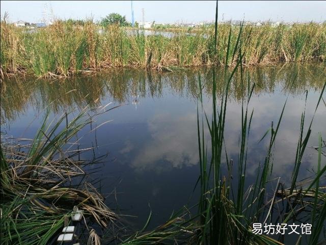 农民养鱼,具体要怎样养?