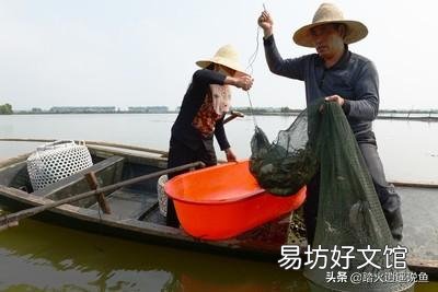 今年本地青蟹苗贵，想拿外地苗，相差10度水能养吗？