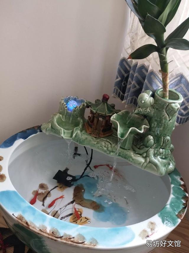 陶瓷鱼缸怎么去鱼腥味?