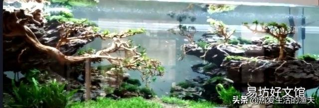 平常没时间给鱼缸换水，又怕鱼死，怎样做到长期不换水？