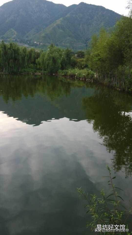 鱼塘水太瘦了，用什么肥料肥水最好？