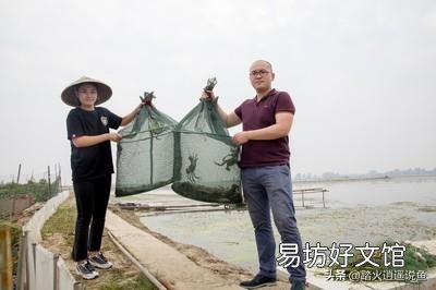 蟹塘里泥鳅多用什么办法捕？