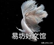 泰国斗鱼如果不进食有什么原因呢?