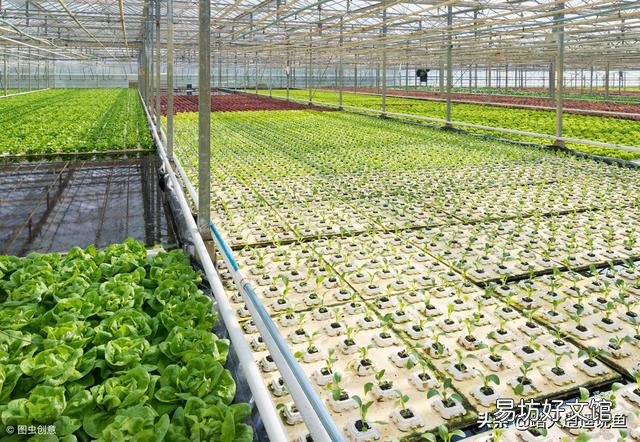 现在很多做鱼菜共生系统,他们都会说很多优点,谁能说说它存在的缺点有哪些呢？