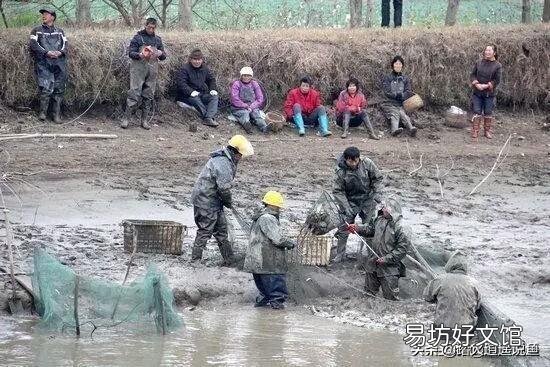 鱼塘水面放一层竹子和树枝好不好？