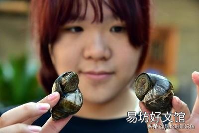 田螺仔怎么漂浮水面了?