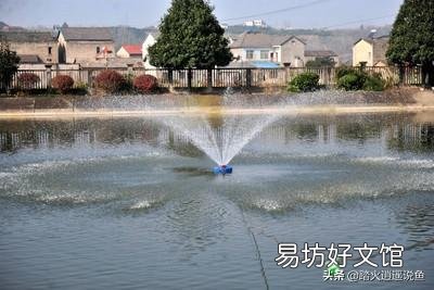 鱼塘水质溶氧、亚盐、pH值都正常，为什么鱼还浮头？