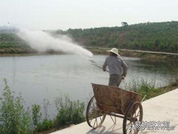 熟石灰可以消毒鱼塘吗?