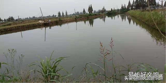 杀虫和杀青苔后多少天开始肥水?
