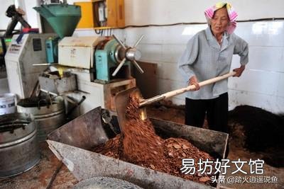 菜籽饼能喂螺蛳吗?为什么?