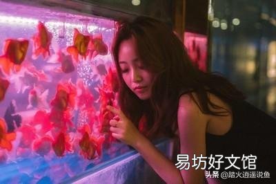 养金鱼喂什么好?