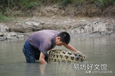 一亩田的面积水深20cm，用了两袋漂百粉多久才能进鱼苗？