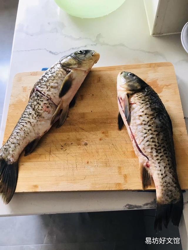 这鱼鱼鳍为啥不一样？