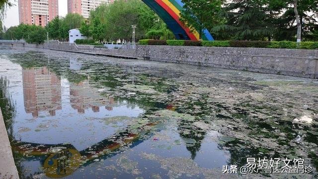 草鱼不吃饲料是哪种原因？