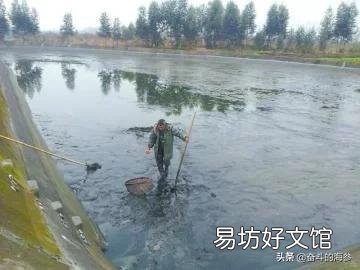 鱼塘该怎么合理建设?目前有15亩左右计划开始?