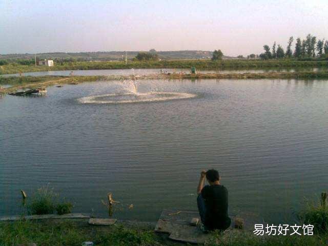 四亩鱼塘养鱼基本死光，有什么办法补救，下半年放什么东西下去？