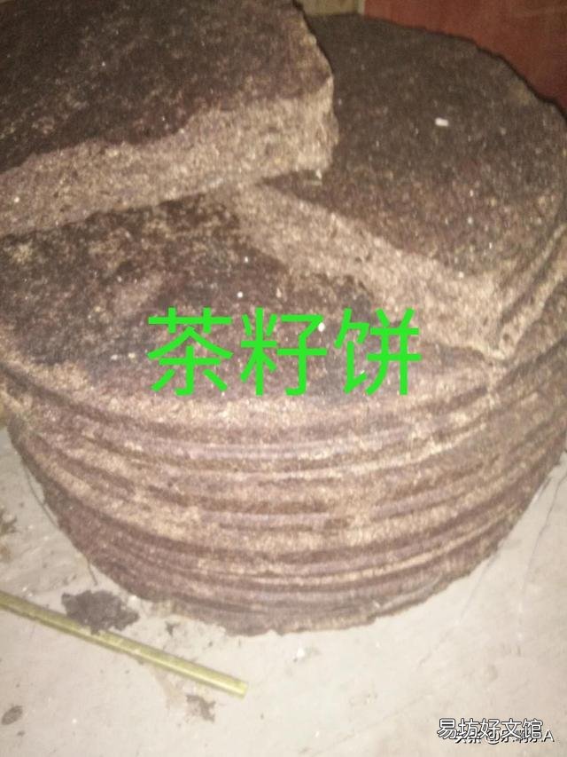 如何清除养殖小龙虾池里的大量泥鳅？