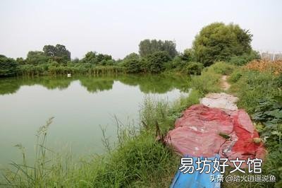 不喂饲料 农村鱼塘里面的鱼怎样快点长大?