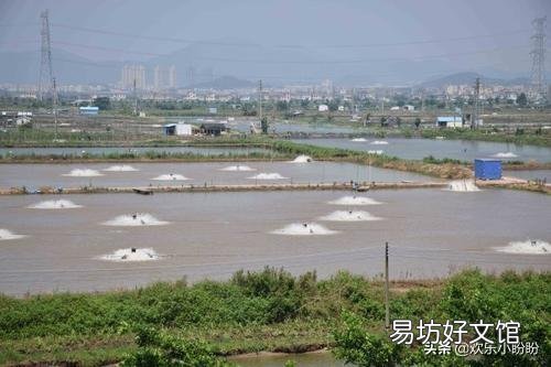 承包一个很大的池塘,池塘周围有很多村子,怎么防止周围村民偷鱼?
